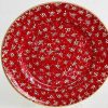 Nicholas Mosse Serving Plate Red Lawn Hot