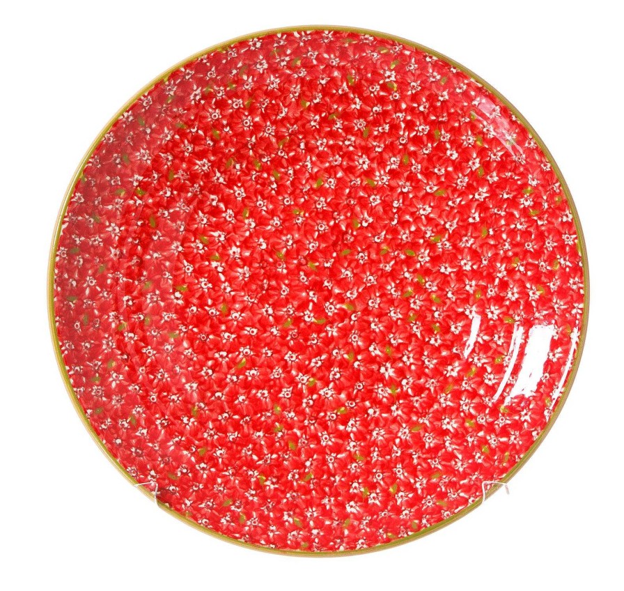 Nicholas Mosse Shallow Dish Lawn Red New