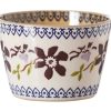 Nicholas Mosse Custard Cup Clematis Wholesale